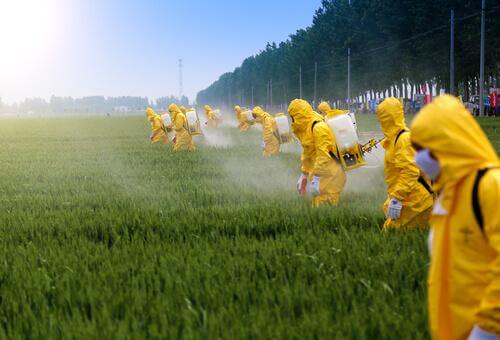 CONFEURO:  PESTICIDI, UNA MINACCIA A LUNGO TERMINE PER LA SALUTE DEI SUOLI. AGIRE ORA PER GARANTIRE UN FUTURO SOSTENIBILE