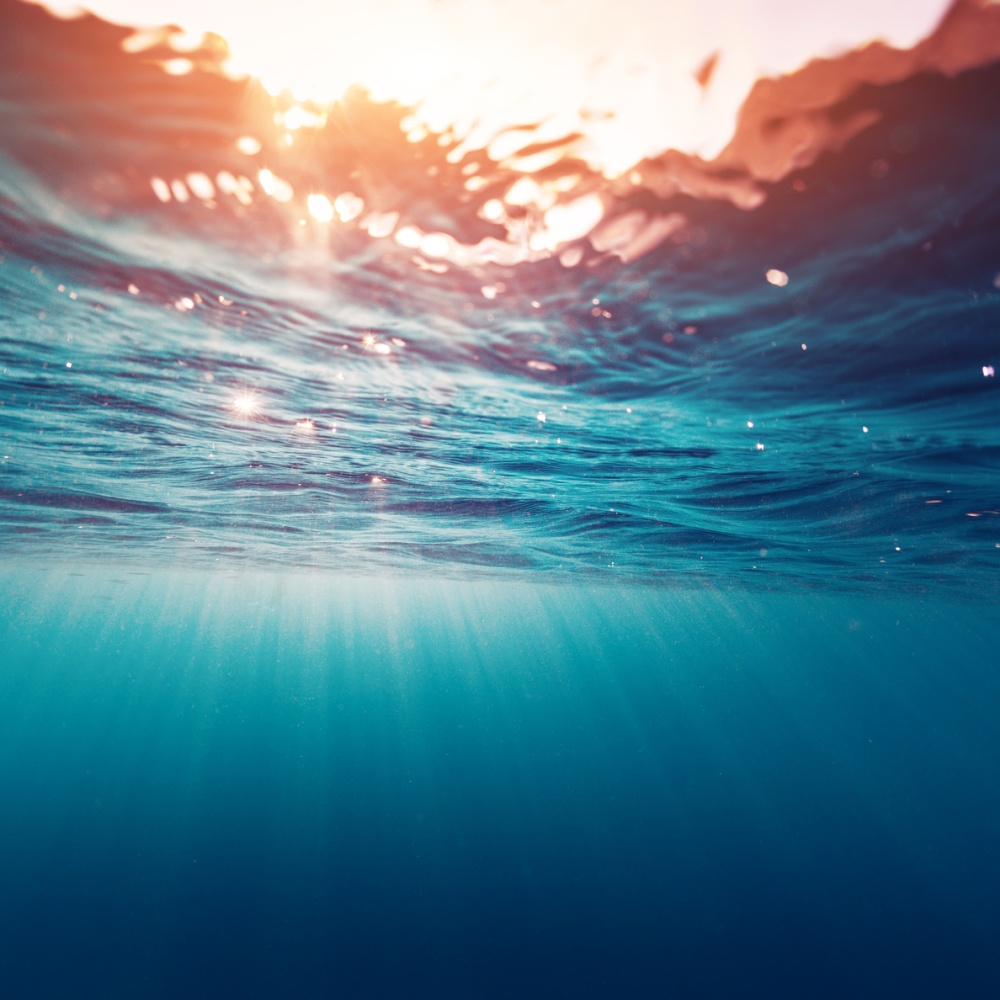 pexels-tim-mossholder-974314 giornata mondiale del mare