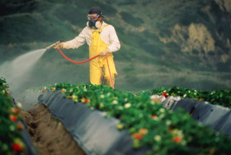 pesticidi agricoltura