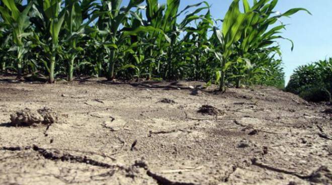 CONFEURO: CLIMA, AGRICOLTURA SEMPRE PIÙ IN SOFFERENZA. SERVE UN CAMBIO DI PASSO