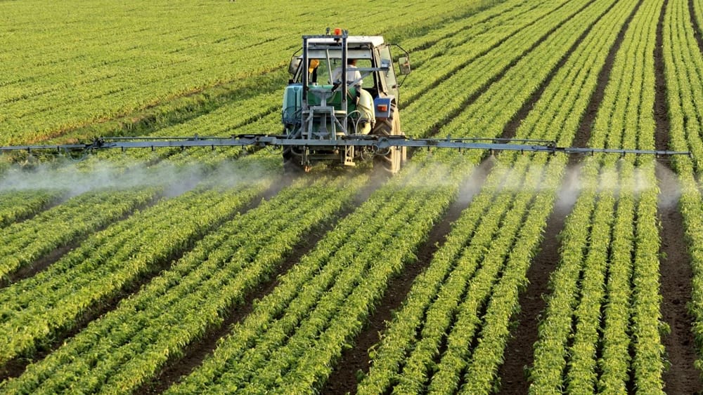 CONFEURO: PESTICIDI NEI CIBI IMPORTATI, UN PARADOSSO CHE L’EUROPA NON PUÒ PERMETTERSI DI IGNORARE