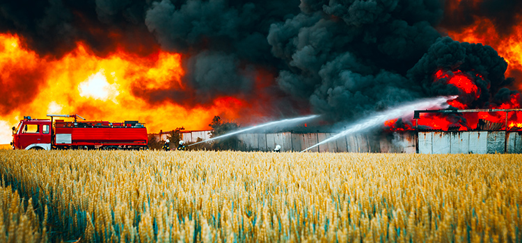 incendi agricoltura