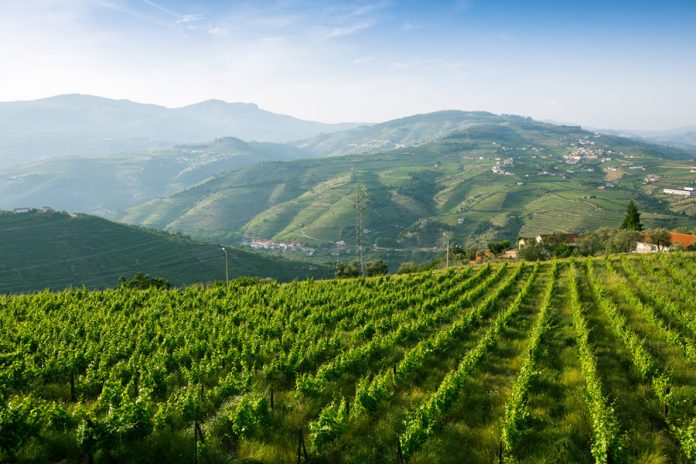 CONFEURO: CLIMA E SFRUTTAMENTO COLPISCONO ANCHE LA MONTAGNA. INCLUDERE LE TERRE ALTE NELLA TRANSIZIONE VERDE