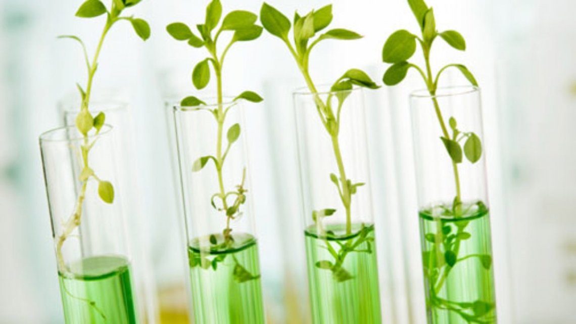 pexels-tim-mossholder-974314 biotecnologie