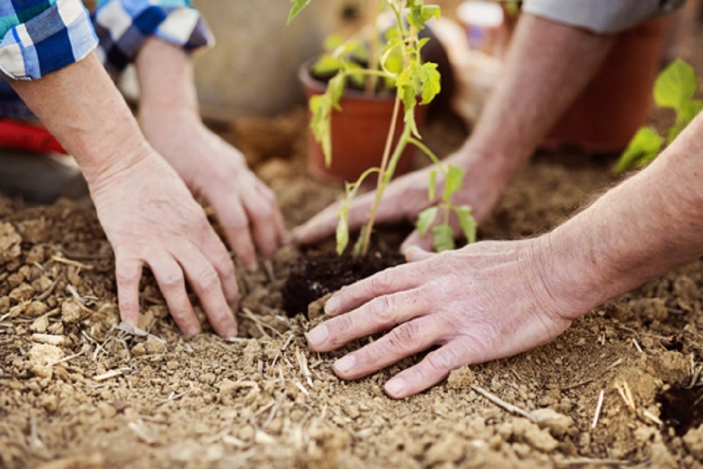 CONFEURO: AGRICOLTURA SOCIALE, SEGNALE POSITIVO DA EMILIA-ROMAGNA MA REGIONI POSSONO FARE DI PIÙ