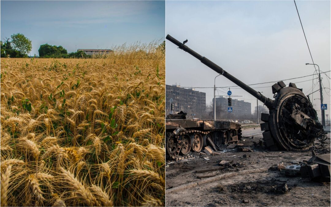 CONFEURO: EFFETTO GUERRA, PER L’AGRICOLTURA CRISI DI PORTATA STRAORDINARIA. SERVE MOBILITAZIONE DI TUTTO IL PAESE