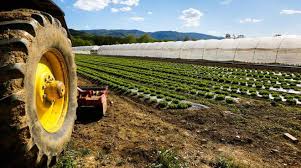 CONFEURO: DAI PESTICIDI AGLI OGM, CON LA CRISI UCRAINA L’AGRICOLTURA EUROPEA RISCHIA UNA PERICOLOSA INVERSIONE DI MARCIA