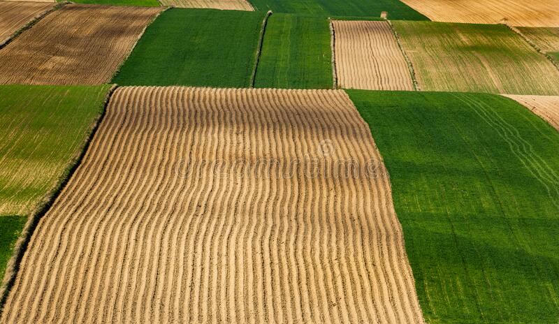 CONFEURO: CONCENTRAZIONE DELLA PROPRIETÀ TERRIERA, UNA MINACCIA PER L’AMBIENTE E PER LA SICUREZZA ALIMENTARE