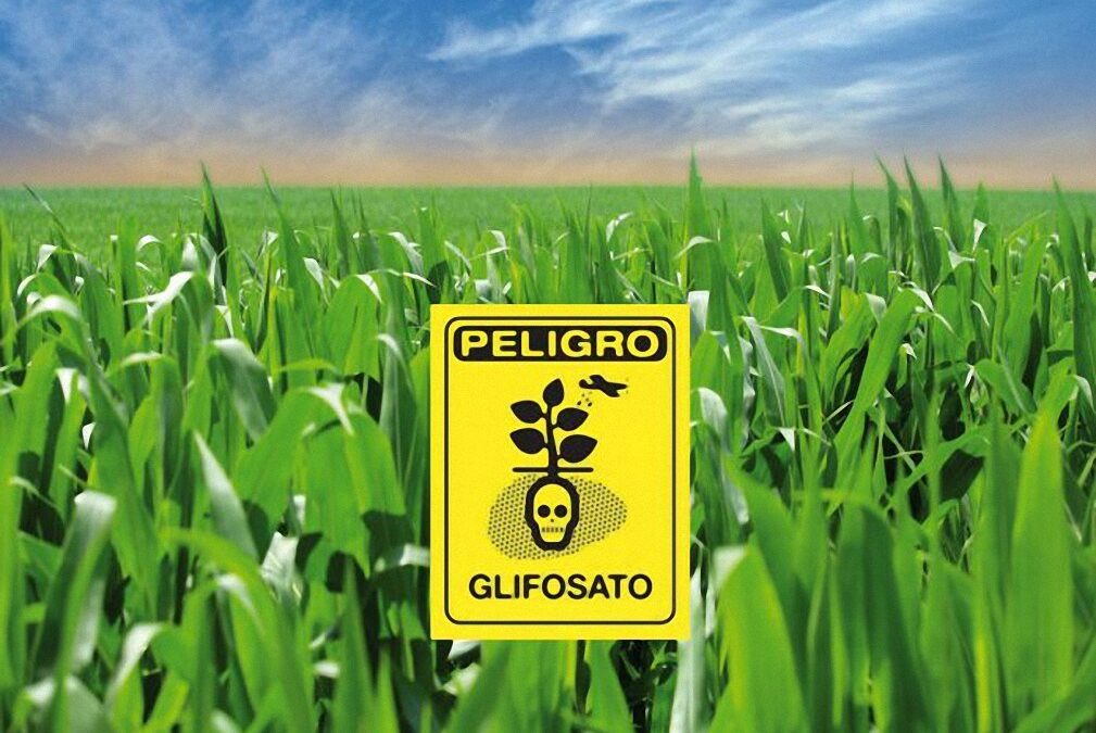 CONFEURO: GLIFOSATO, VOTO A FAVORE DELL’ITALIA UN CLAMOROSO AUTOGOL. NUOVO GOVERNO MOSTRI COERENZA SU GREEN DEAL E AGRICOLTURA