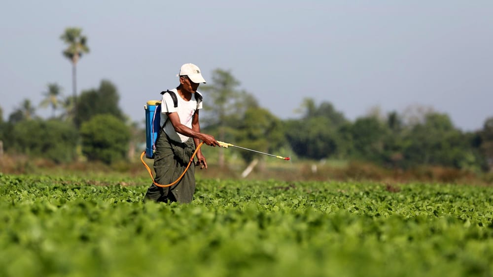 pesticidi cibi importati