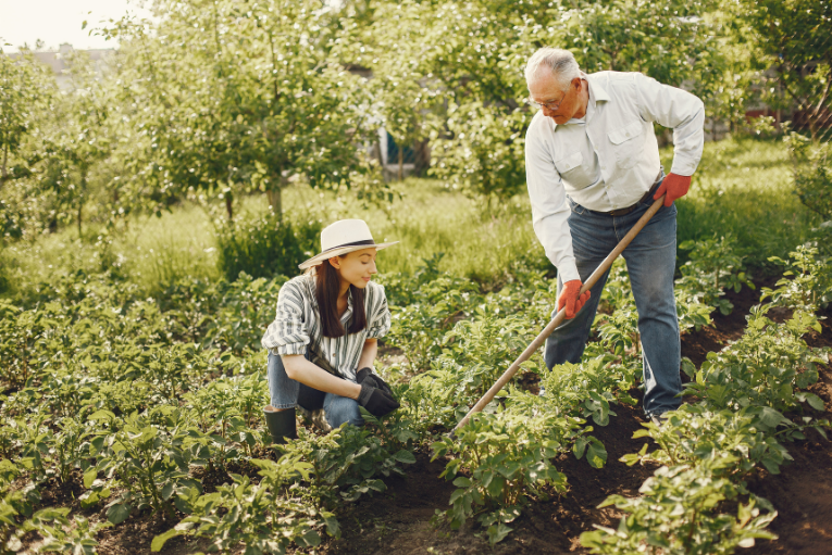 CONFEURO: NUOVA PAC, PUNTARE SUL RICAMBIO GENERAZIONALE PER DARE UN FUTURO ALL’AGRICOLTURA EUROPEA