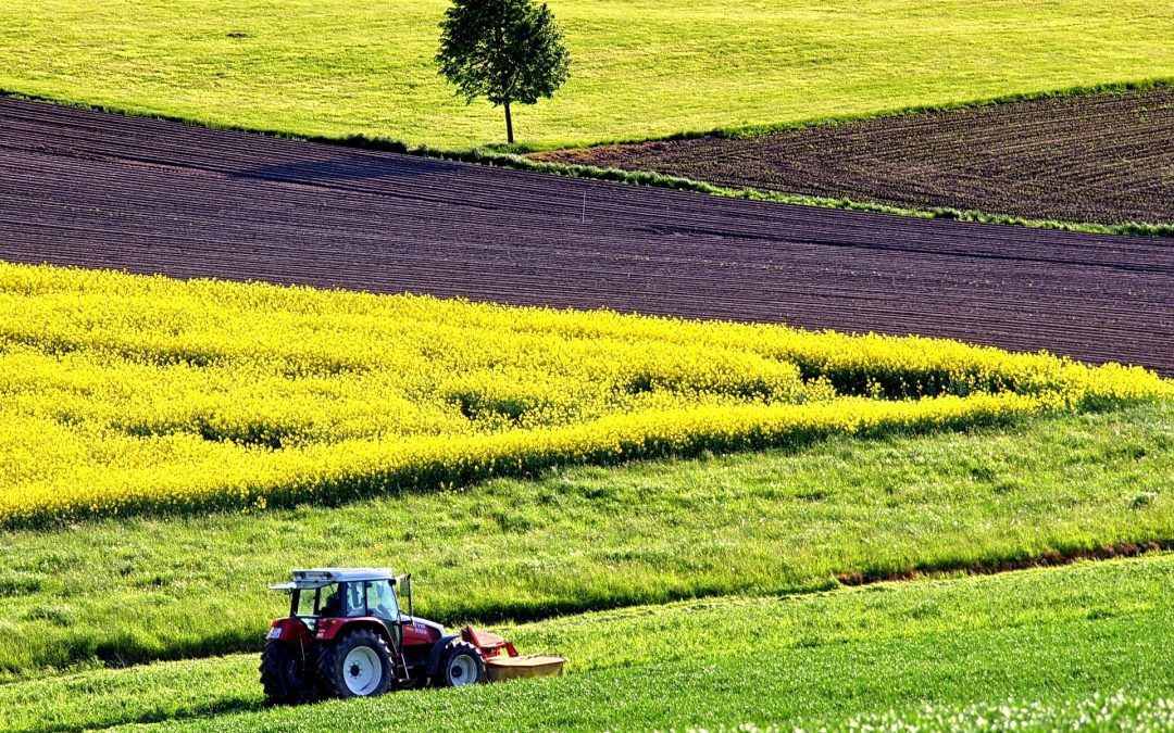 CONFEURO: BENE PER LE MISURE AGRICOLE IN LEGGE DI BILANCIO MA LA STRADA E’ANCORA LUNGA