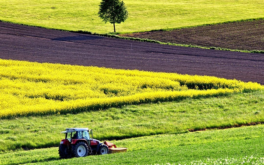 CONFEURO: BENE PER LE MISURE AGRICOLE IN LEGGE DI BILANCIO MA LA STRADA E’ANCORA LUNGA