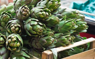 Carciofi, quotazioni in discesa fino al 70%Confeuro: sviluppare strategie di filiera a sostegno dei produttori, per tutelarli dalla concorrenza del prodotto straniero