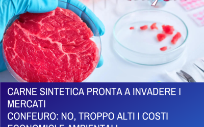 CARNE SINTETICA PRONTA A INVADERE I MERCATINO, TROPPO ALTI COSTI ECONOMICI E AMBIENTALI