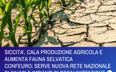SICCITA’ – CALA PRODUZIONE AGRICOLA E AUMENTA FAUNA SELVATICACONFEURO – SERVONO NUOVA RETE NAZIONALE DI INVASI E IMPIANTI DI DESALINIZZAZIONE