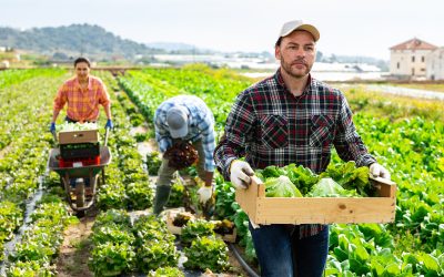 ACCOGLIAMO CON FAVORE LA PDL DI CARLONI SUL RICAMBIO GENERAZIONALE