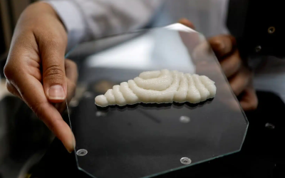 CIBO SINTETICO: E’ ARRIVATO ANCHE IL PESCE STAMPATO IN 3D