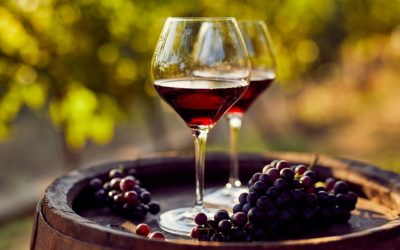 VINO, RICERCA USA CONFERMA : BERE VINO RIDUCE LA MORTALITA’ DELL’11% – CONFEURO: ORA BLOCCARE ETICHETTATURA FALSA NEL MONDO