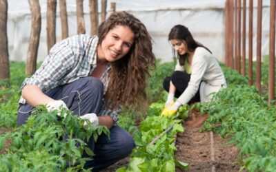 DONNE IN AGRICOLTURA CRESCONOAUMENTA LA PRESENZA E LA PARTECIPAZIONE AI TAVOLI MA SI PUÒ FARE DI PIÙ