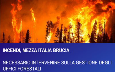 INCENDI, MEZZA ITALIA BRUCIA NECESSARIO INTERVENIRE SULLA GESTIONE DEGLI UFFICI FORESTALI