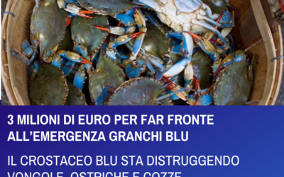 3 MILIONI DI EURO PER FAR FRONTE ALL’EMERGENZA GRANCHI BLU