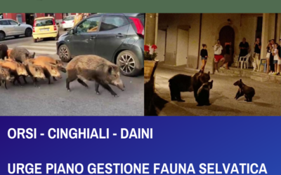 ORSI – CINIGHIALI – DAINI URGE PIANO DI GESTIONE DELLA FAUNA SELVATICA