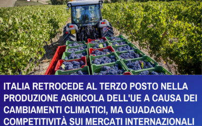 ITALIA RETROCEDE AL TERZO POSTO NELLA PRODUZIONE AGRICOLA DELL’UE A CAUSA DEI CAMBIAMENTI CLIMATICI, MA GUADAGNA COMPETITIVITÀ SUI MERCATI INTERNAZIONALI