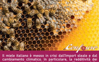 Apicoltura: “Tutelare miele italiano sia priorità governo”